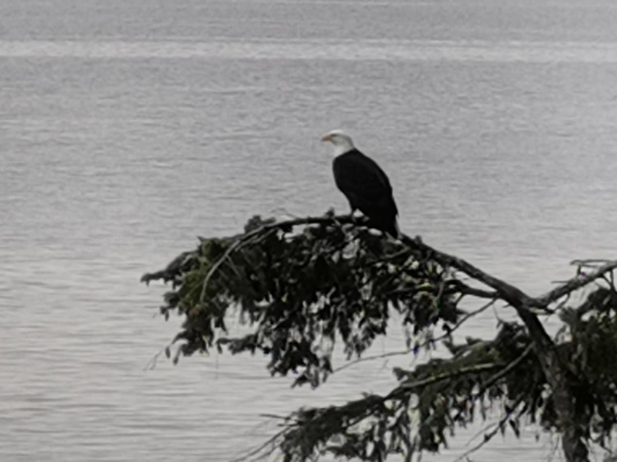 Vancouver Island Castle Cove Inn Chemainus Dış mekan fotoğraf
