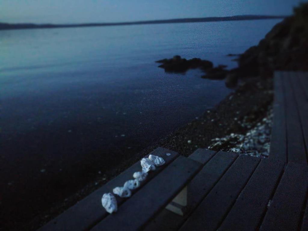 Vancouver Island Castle Cove Inn Chemainus Dış mekan fotoğraf