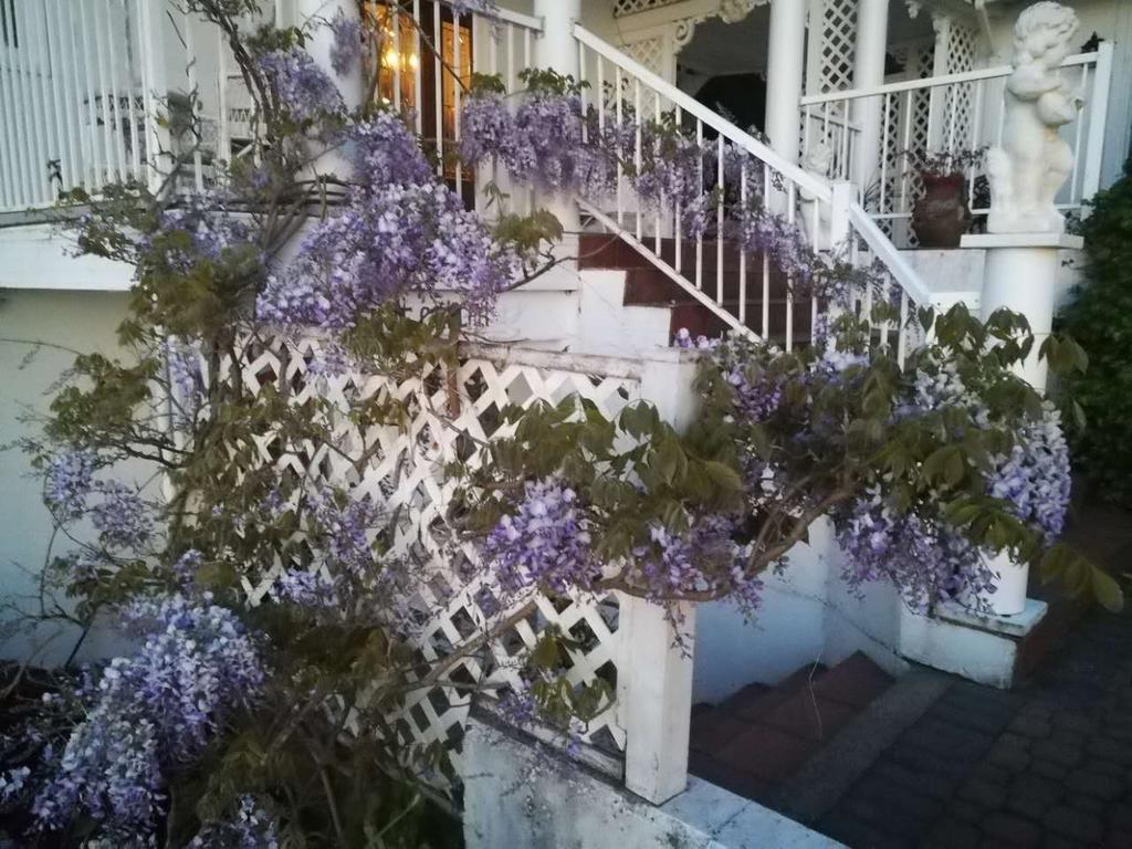 Vancouver Island Castle Cove Inn Chemainus Dış mekan fotoğraf