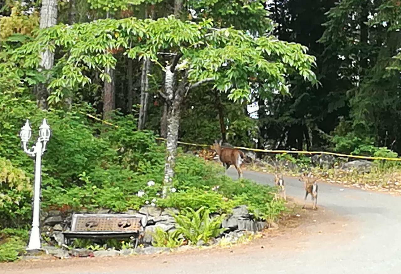 Vancouver Island Castle Cove Inn Chemainus Dış mekan fotoğraf