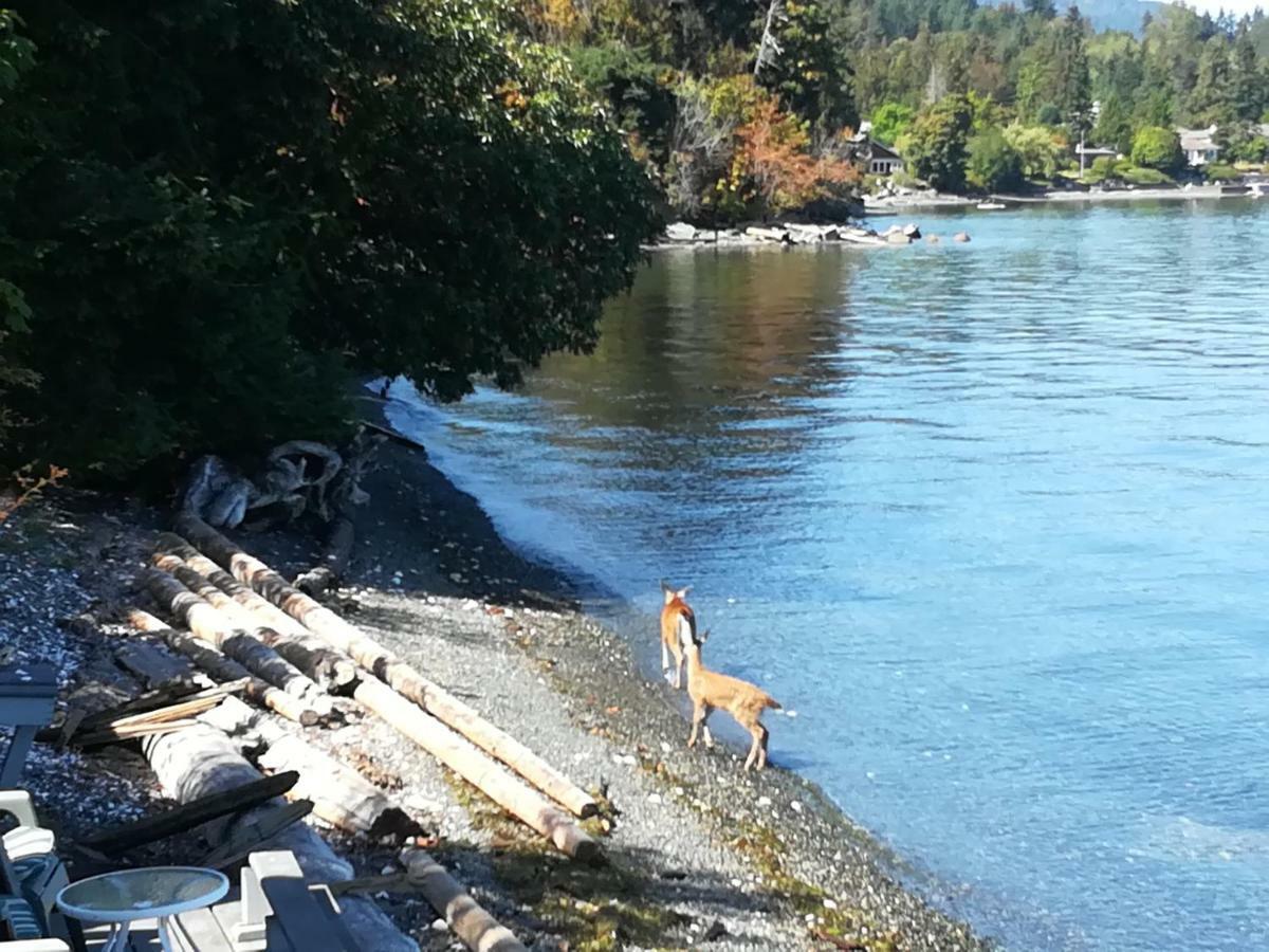 Vancouver Island Castle Cove Inn Chemainus Dış mekan fotoğraf