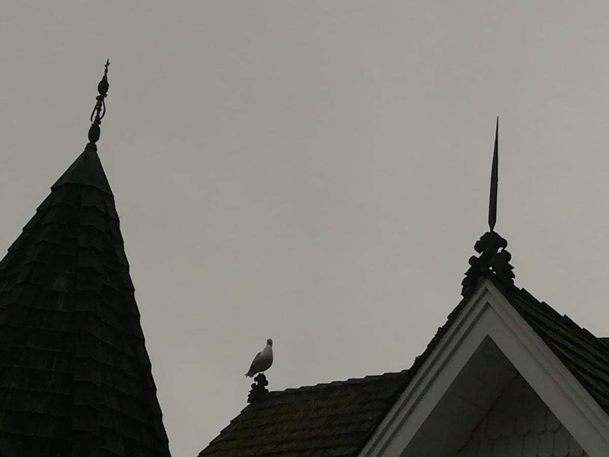 Vancouver Island Castle Cove Inn Chemainus Dış mekan fotoğraf